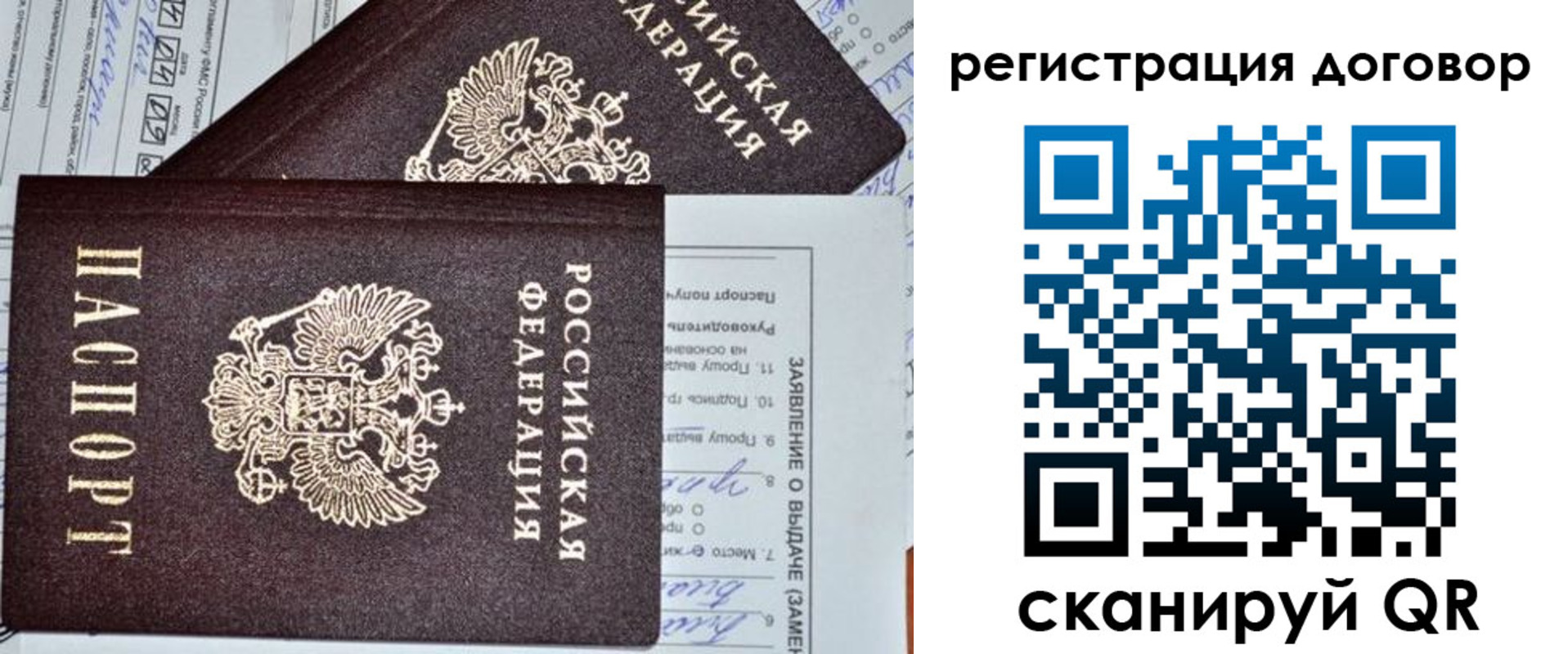 прописка штамп в Зверево